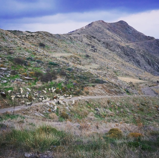 BA25834C-5905-468E-9426-0B70DBAE1B18