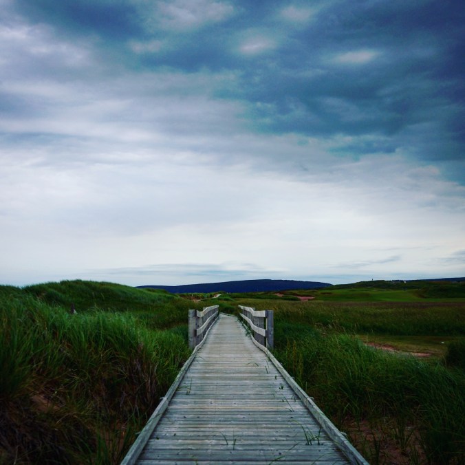 1B5B5A6B-74A7-4D7B-946A-875F9C94C58B