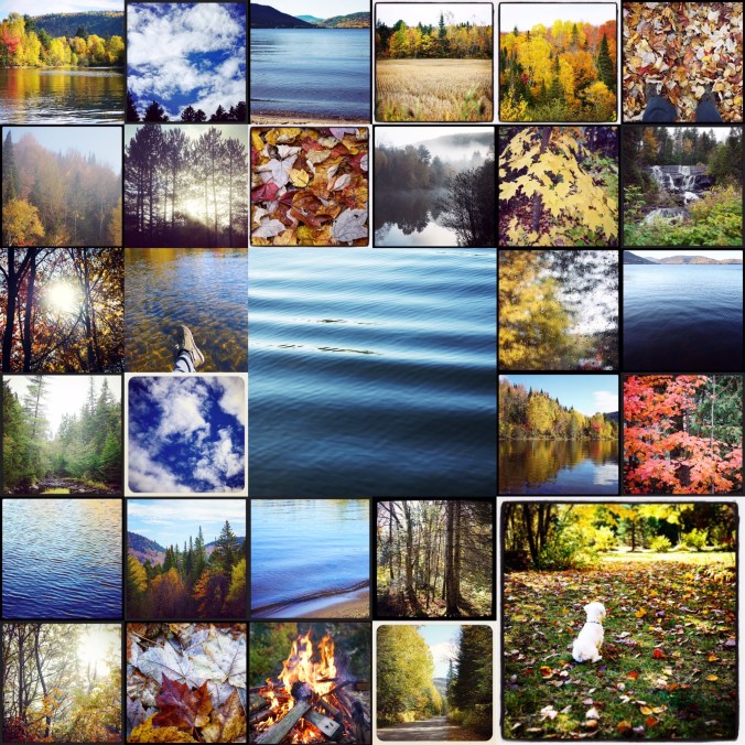 68FAC7E3-44FE-426D-9E46-850614362A3D