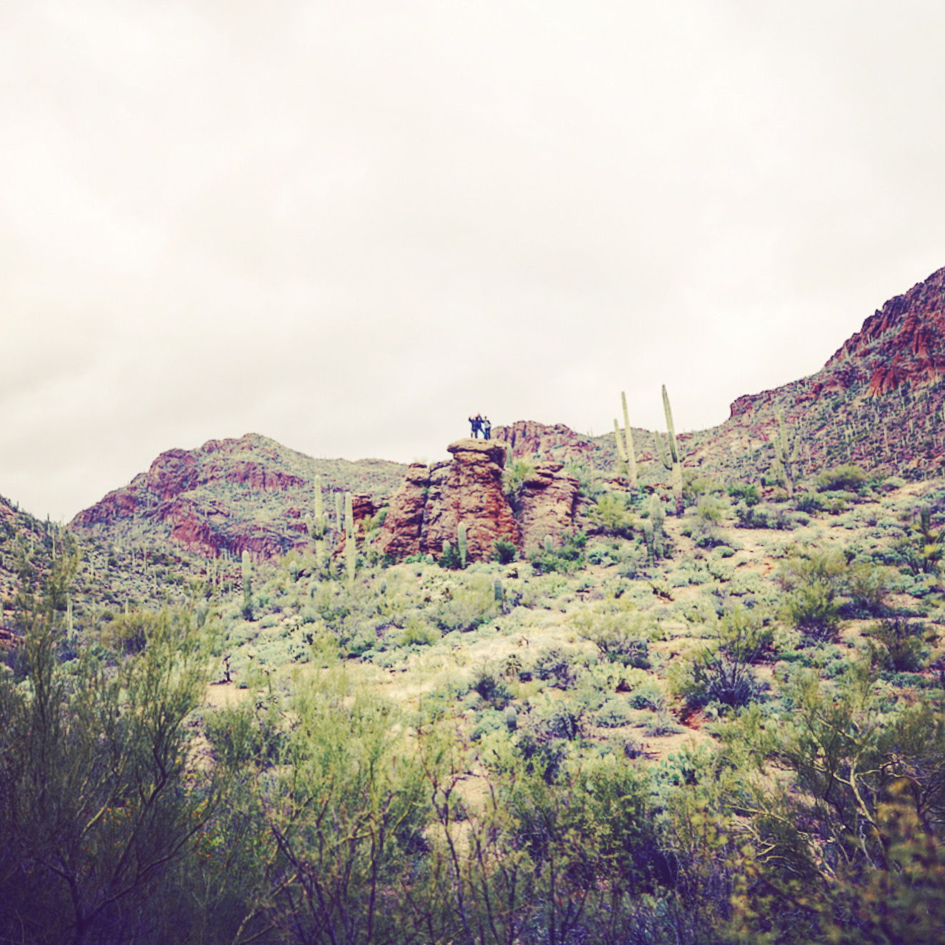 703FFDA0-EDA2-42D4-A29E-91FE2E85A8A6