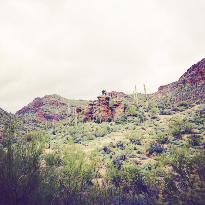 703FFDA0-EDA2-42D4-A29E-91FE2E85A8A6